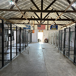 inside photo of kennels at Rural Route Retrievers east central Illinois